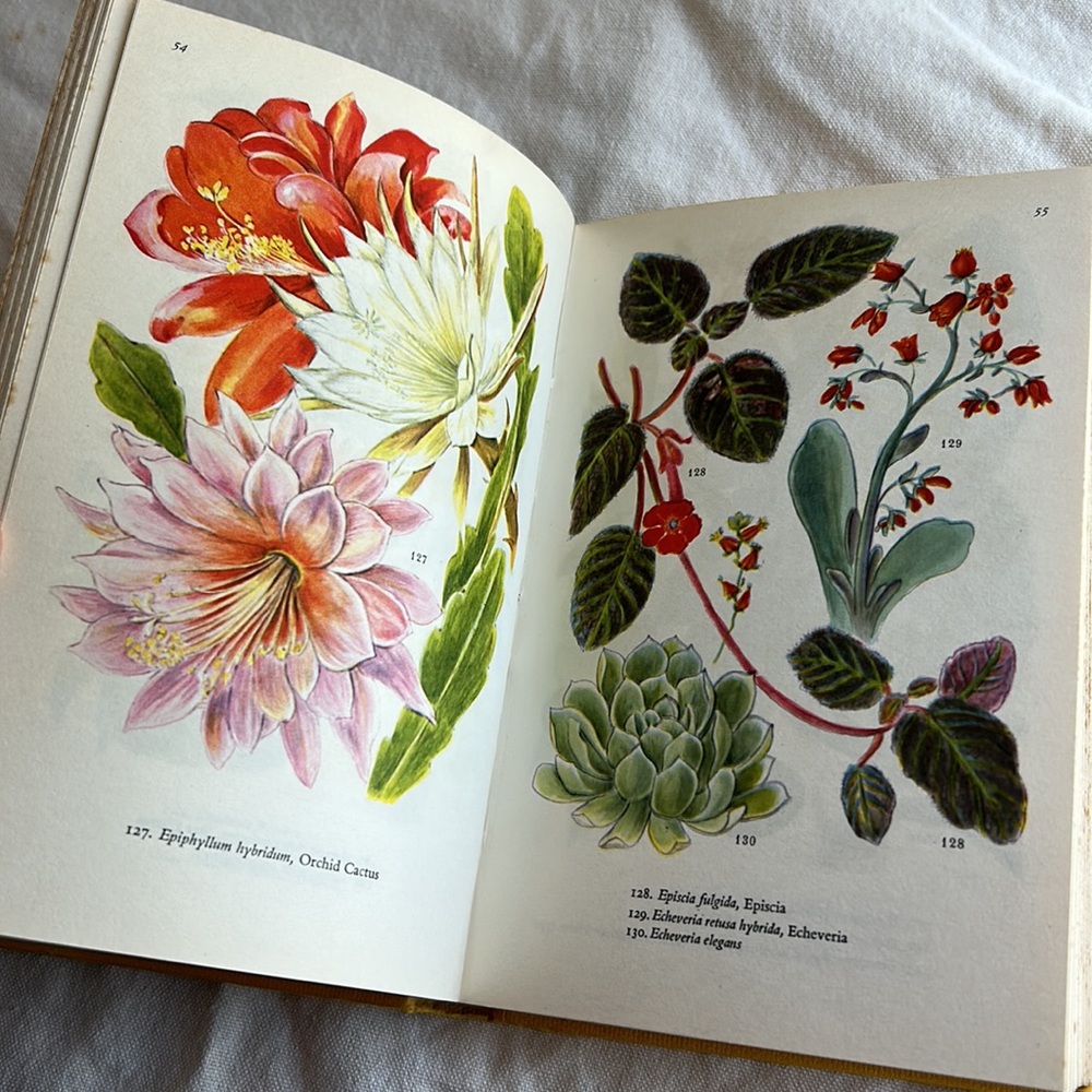 ©️ 1961 Vintage Book : Indoor Plants in Colour